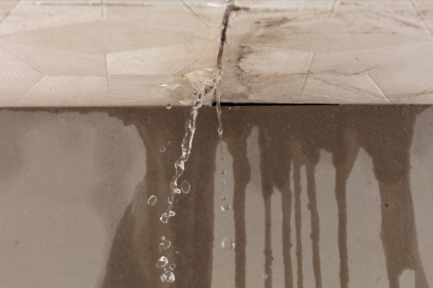 Professional Structural Drying technician working in Notrees, TX